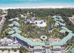 Click on image to enlarge